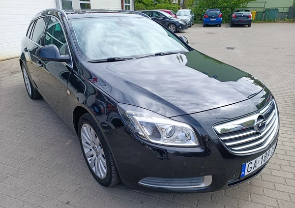 Opel Insignia cena 22900 przebieg: 233372, rok produkcji 2010 z Czersk małe 436